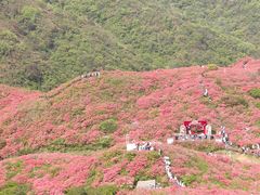 -大围山国家森林公园