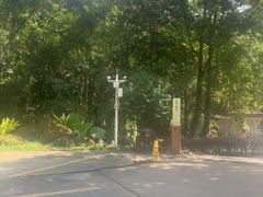 -莫里热带雨林景区