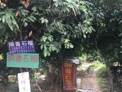 -竹泉农庄·竹筒饭(从化店)