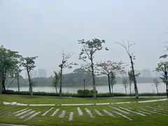 -顺峰山公园