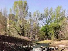 -长白岛森林公园