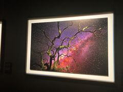 -罗红摄影艺术馆