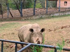 -大连森林动物园
