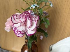 -O'eat Blossom&Pelican(深圳首店)