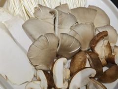 -黄家码头老火锅(解放碑旗舰店)