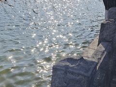 -济南大明湖景区