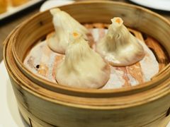 -新兴·金羊座·粤菜点心(乐峰店)