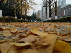 -两江幸福广场