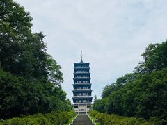 -宜兴龙背山森林公园