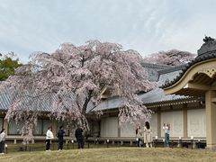 -醍醐寺