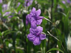 -广西壮族自治区南溪山医院