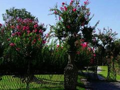 -南通洲际绿博园