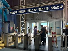 -烟台海昌鲸鲨海洋公园