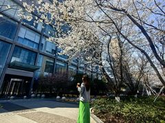 -苏州香格里拉大酒店