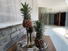 -曲廊院(东四十一条店)