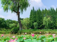 -宜兴龙背山森林公园