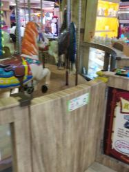 点击看大图 -卡通尼·Safari非洲探索乐园·生日会(金桥国际商业广场店)