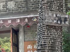 -两棵枇杷树