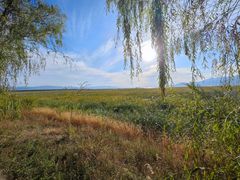 -野鸭湖国家湿地公园