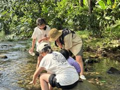-福清灵石山国家森林公园