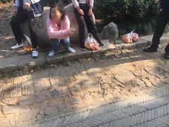 -雨花胜境