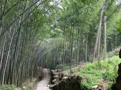 -会稽山峡洞漂流-上青古道