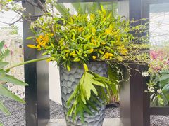 -上海鲜花港