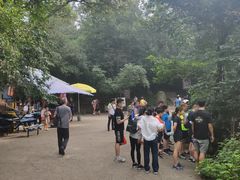 -紫金山山顶公园