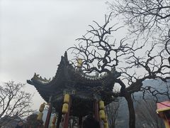 -华清宫景区