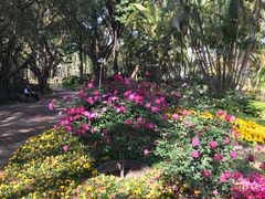 -人民公园(罗湖区)