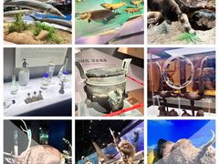 -武汉园博园(武汉自然博物馆)