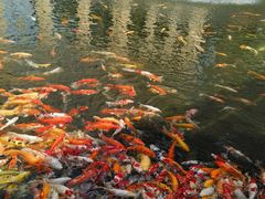 -番禺宾馆丽苑厅