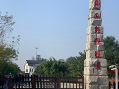 -中国扬子鳄村