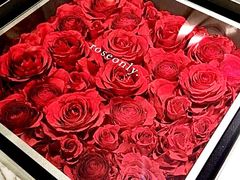 -ROSEONLY诺誓(青岛万象城店)