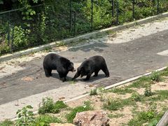 -大连森林动物园