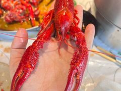 -巴厘龙虾·榜首油焖大虾(音乐学院·沿江酒馆店)