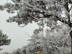 -安吉龙王山风景区