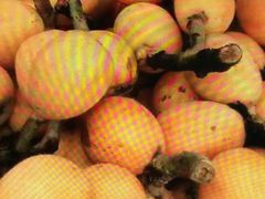 -塘栖枇杷特色园区