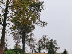 -棕榈滩海景高尔夫俱乐部