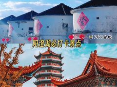 -品鲜村农家菜·阳澄湖大闸蟹(总店)