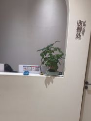 -杭州米兰柏羽医疗美容医院