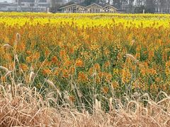 -中国天府农业博览园