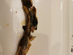 多春鱼-大渔铁板烧(万象城店)