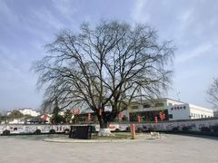 -五峰书院(南洋泾路店)