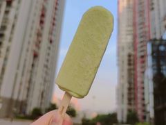 -蒲公英(五里店)
