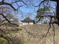 -名古屋城