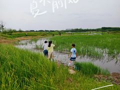 -哈尔滨大剧院