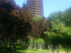 -玲珑塔公园