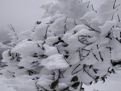 -浙西天池-售票处