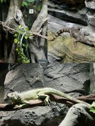 -Zoolung Zoolung动物主题公园(海信广场店)